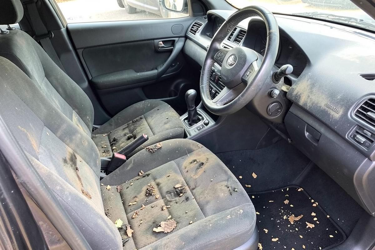 Dirty car interior with stained seats and debris in the carpet before detailing